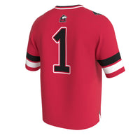 Northern Illinois Huskies Lightweight Collegiate Football Fashion Jersey - Cardinal