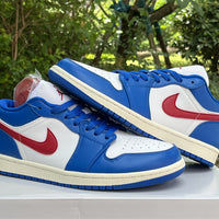 Low Top Sneakers, Blue Colorway, Lace Up Design, Casual Gift for Sneaker Fans