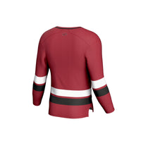 Arkansas Razorbacks Spirit Hockey Jersey - Cardinal