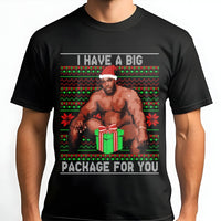 Humorous Meme Ugly Christmas Shirt, Barry Big Package Christmas Shirt, Holiday Gag Graphic Tee, Humor Secret Santa Top, Adult Christmas Shirt