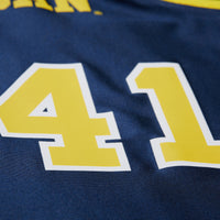 Glen Rice Navy Michigan Wolverines 1988/89 Authentic Jersey