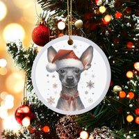 Mexican Hairless Dog Santa Hat Ornament, Xoloitzcuintli Christmas Ornament, Ceramic Puppy Tree Ornament, Holiday Present for Dog Lovers