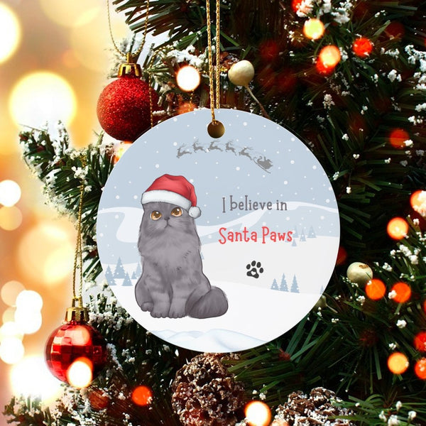 Adorable Grey Cat Christmas Ornament, I Believe in Santa Paws Ornament, Ceramic Kitten Tree Ornament, Holiday Keepsake Presen