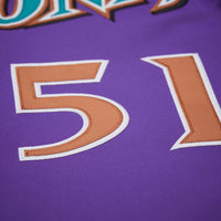Arizona Diamondbacks Randy Johnson Purple 2000 Throwback Authentic Jersey