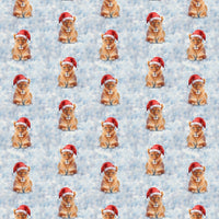 Santa Hat Christmas Gift Wrap, Winter Lioness Wrapping Paper, Festive Wildlife Holiday Wrapping Paper, Adorable Animal Gift Wrap Paper Roll