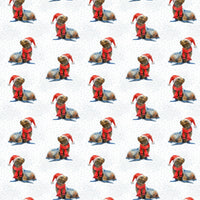 Adorable Santa Hat Holiday Gift Wrap, Sea Lion Christmas Wrapping Paper, Winter Animal Wrapping Paper, Festive Ocean Theme Gift Wrap Paper Roll