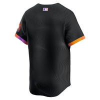 San Francisco Giants Anthracite 2025 City Connect Limited Jersey