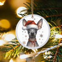 Mexican Hairless Dog Santa Hat Ornament, Xoloitzcuintli Christmas Ornament, Ceramic Puppy Tree Ornament, Holiday Present for Dog Lovers