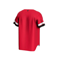 Rutgers Scarlet Knights Baseball Jersey - Scarlet