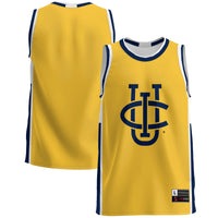 UC Irvine Anteaters Lightweight Basketball Jersey - Blue