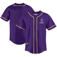 UAlbany Great Danes Lightweight Baseball Jersey - Purple