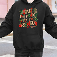Leopard Christian Christmas Sweatshirt, Jesus Is the Reason for the Season Hoodie, Faith Based Holiday Hooded Pullover, Religious Xmas Present