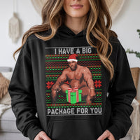 Humorous Adult Meme Holiday Sweatshirt, Big Package Ugly Christmas Hoodie, Sarcastic Dirty Santa Gag Present Pullover, Naughty Xmas Hoodie