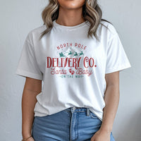 Santa Baby Pregnancy Announcement Shirt, North Pole Delivery Co T-Shirt, Adorable Expecting Parents Christmas Tee, Holiday Baby Reveal Shirt
