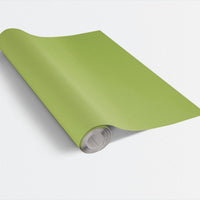 Minimalist Matte Glossy Gift Wrap Roll, Solid Spring Green Wrapping Paper, Birthday Wrapping Paper, Christmas Holiday Present Gift Wrap