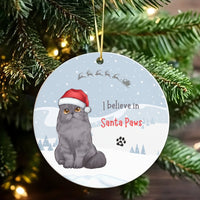 Adorable Grey Cat Christmas Ornament, I Believe in Santa Paws Ornament, Ceramic Kitten Tree Ornament, Holiday Keepsake Present for Cat Lovers