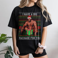 Humorous Meme Ugly Christmas Shirt, Barry Big Package Christmas Shirt, Holiday Gag Graphic Tee, Humor Secret Santa Top, Adult Christmas Shirt