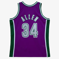Milwaukee Bucks Swingman Jersey Ray Allen 2001-02