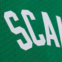 Boston Celtics Swingman Jersey Brian Scalabrine