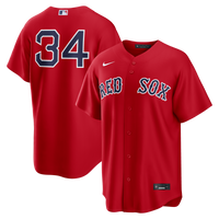 Boston Red Sox David Ortiz Red Alternate Replica Jersey