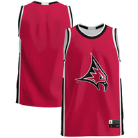 Wisconsin-River Falls Falcons Lightweight Basketball Jersey - Red