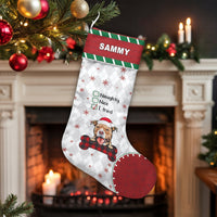 Naughty Nice I Tried Checklist Stocking, Personalized Pitbull Christmas Stocking, Custom Dog Holiday Stocking, Pet Lover Christmas Present