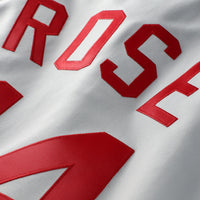 Cincinnati Reds Pete Rose Gray 1976 Authentic Jersey