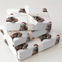Santa Hat Animal Gift Wrap, Adorable Walrus Christmas Wrapping Paper, Watercolor Walrus Wrapping Paper Roll, Holiday Wrapping Paper