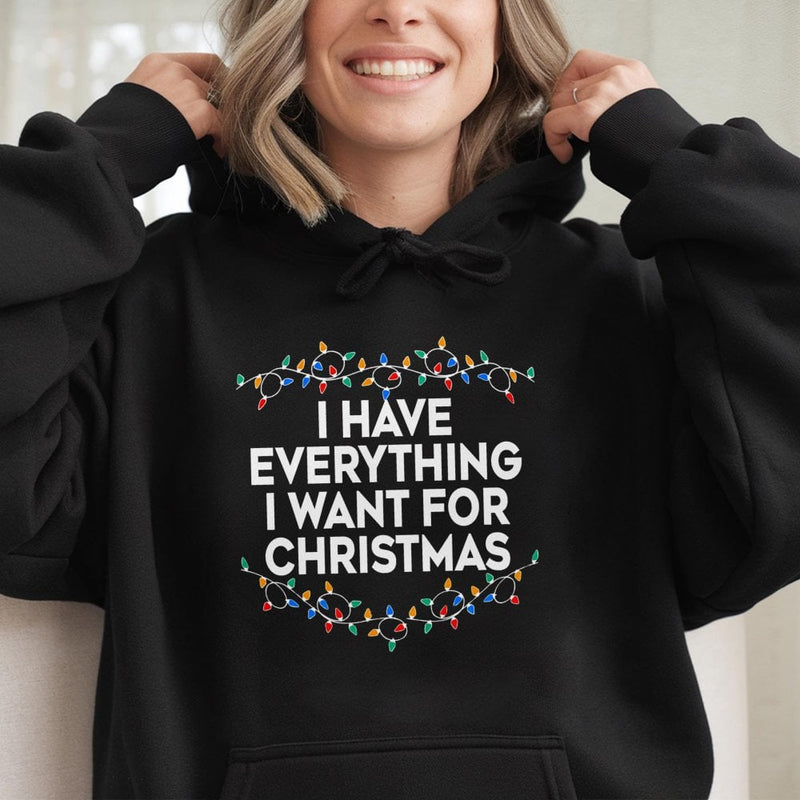 Matching Couple Christmas Lights Sweatshirt, I Have Everything I Want for Christmas Hoodie, Humorous Xmas Pullover, Comfy Holiday Present