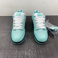 Low Top Sneakers, Teal Colorway, Lace Up Design, Casual Gift for Sneaker Fans